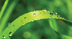 Finotex Corporate Social Responsibility