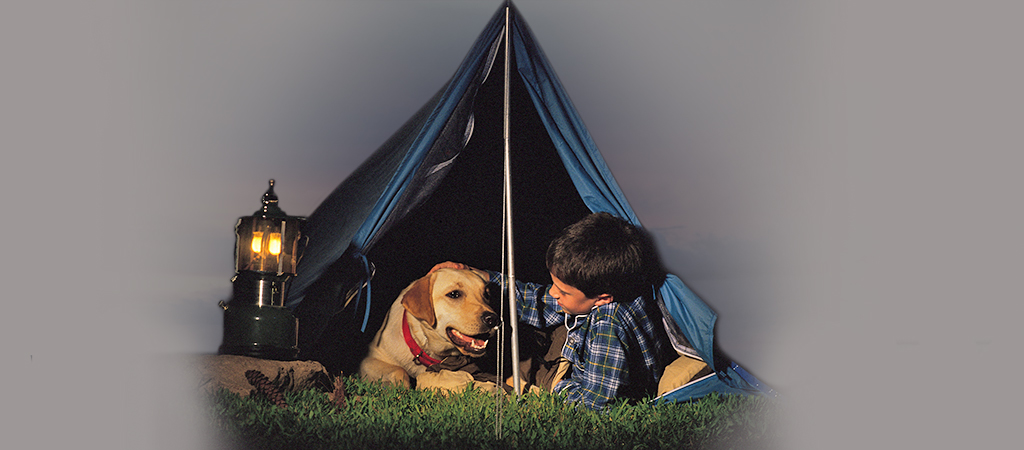 Finotex Modern Lifestyle